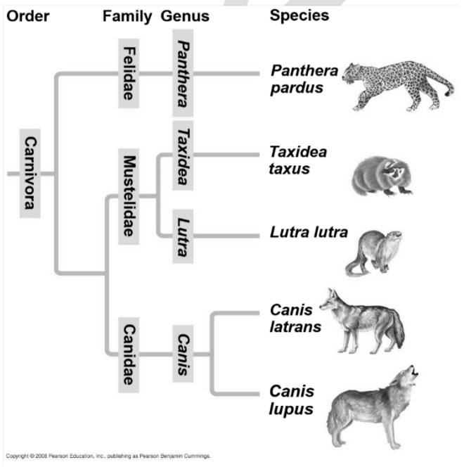 Olimpiade Sains Kota (OSK) 2015 - Biologi · Kujawab Olimpiade Sains Kota (OSK) 2015 - Biologi · Kujawab